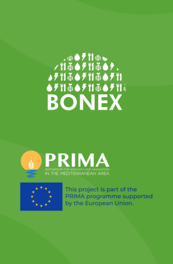 Bonex Handbook